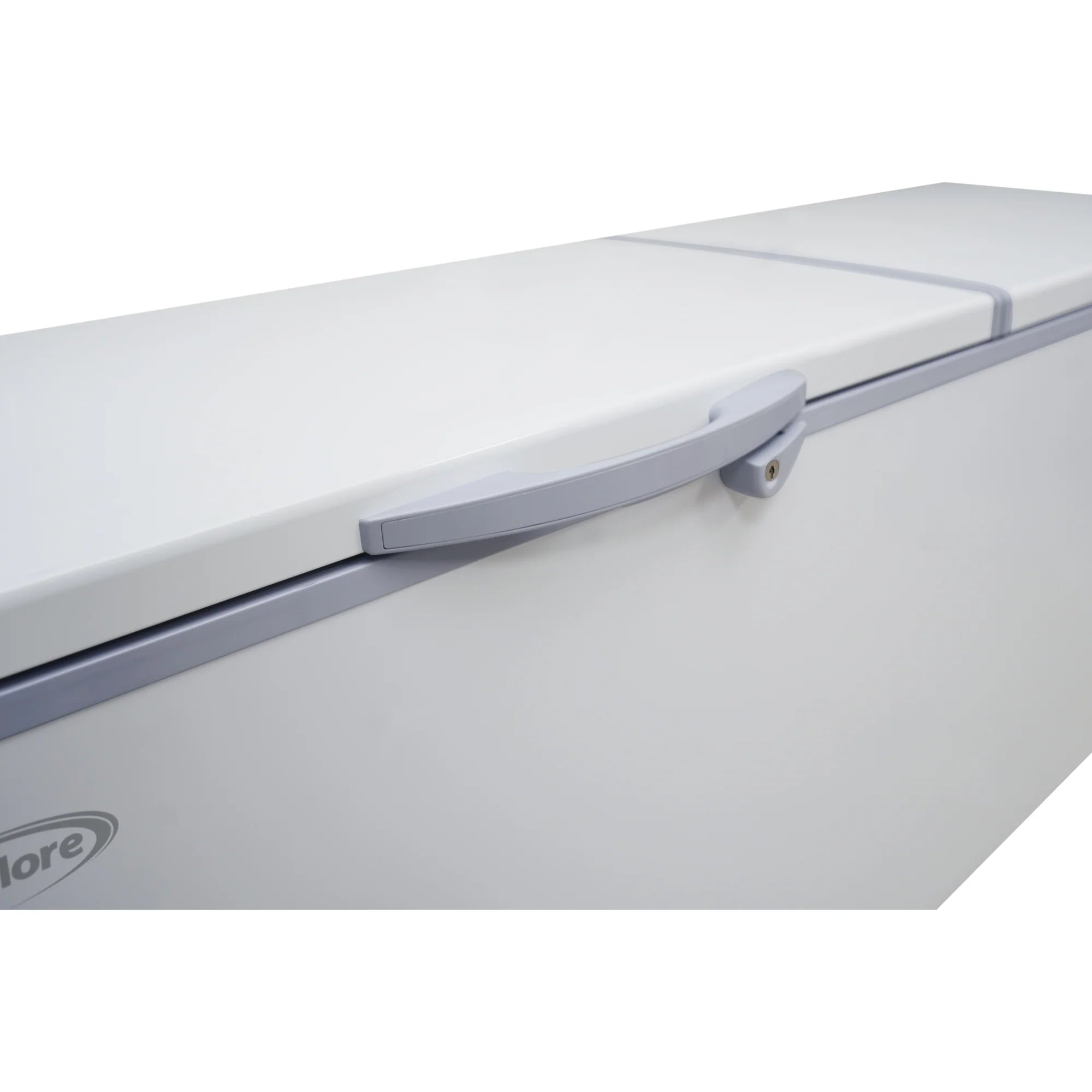 Commercial Chest Freezer, 77 In. 24 cu ft.