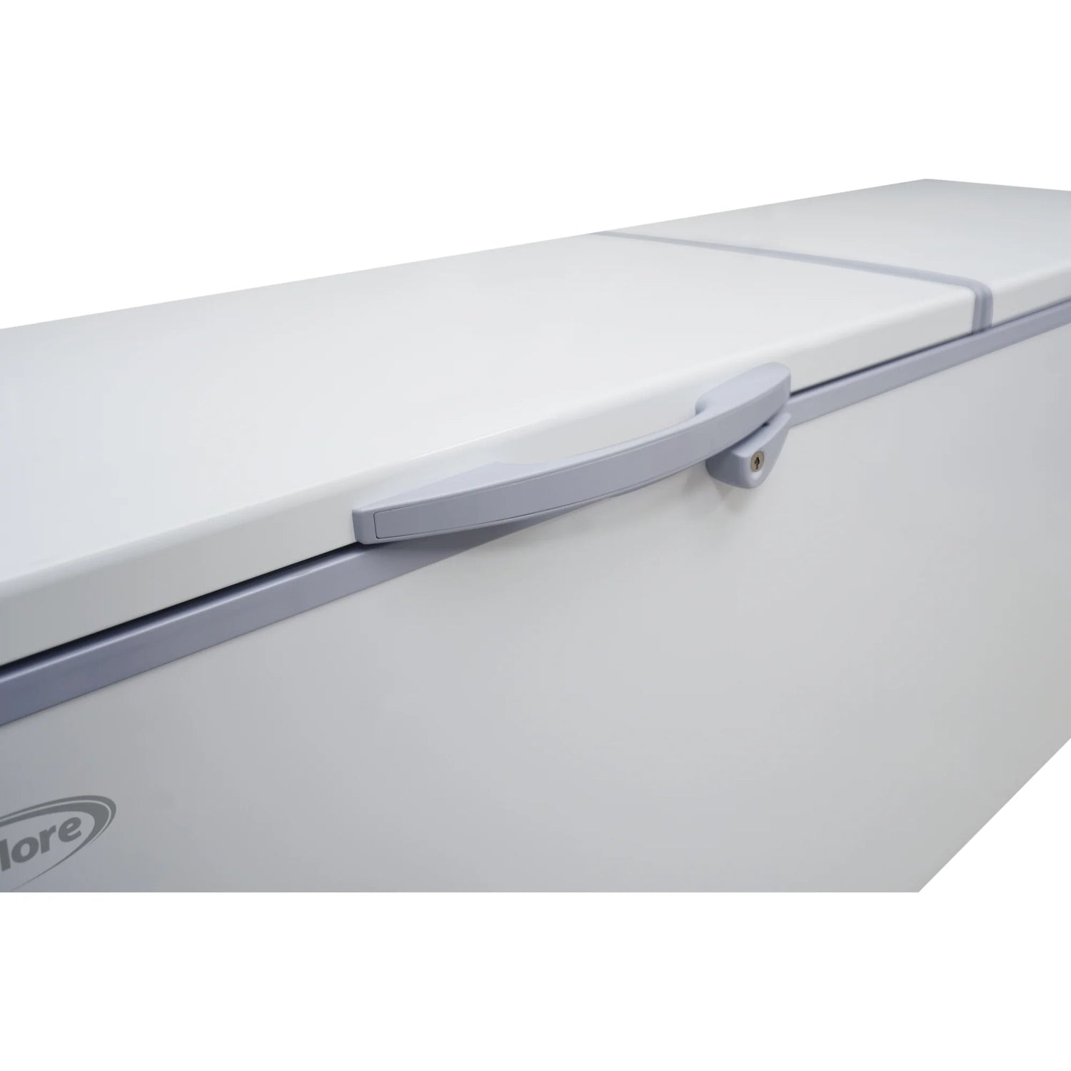 Commercial Chest Freezer, 77 In. 24 cu ft.