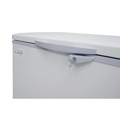 Commercial Chest Freezer, 77 In. 24 cu ft.