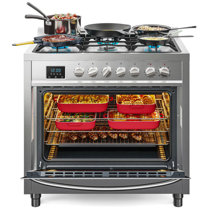 Professional Dual Fuel Range in Stainless Steel with Legs, 4.3 cu. ft. 36 In.