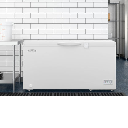 Commercial Chest Freezer, 60 In. 15.9 cu ft.