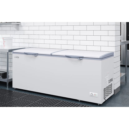Commercial Chest Freezer, 77 In. 24 cu ft.
