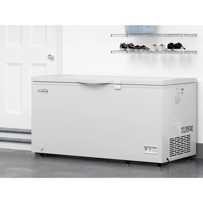 Commercial Chest Freezer, 60 In. 15.9 cu ft.